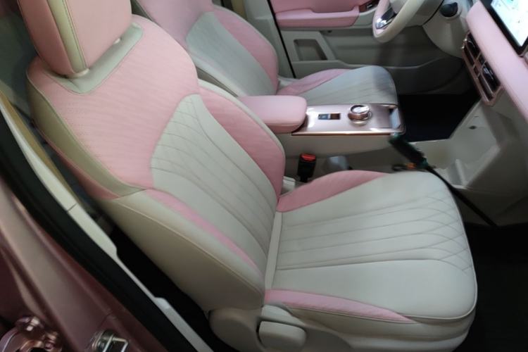 Used Geometry E Firefly 2023 401 km Super-Liked Special Edition 5 Seats Right Front Seat
