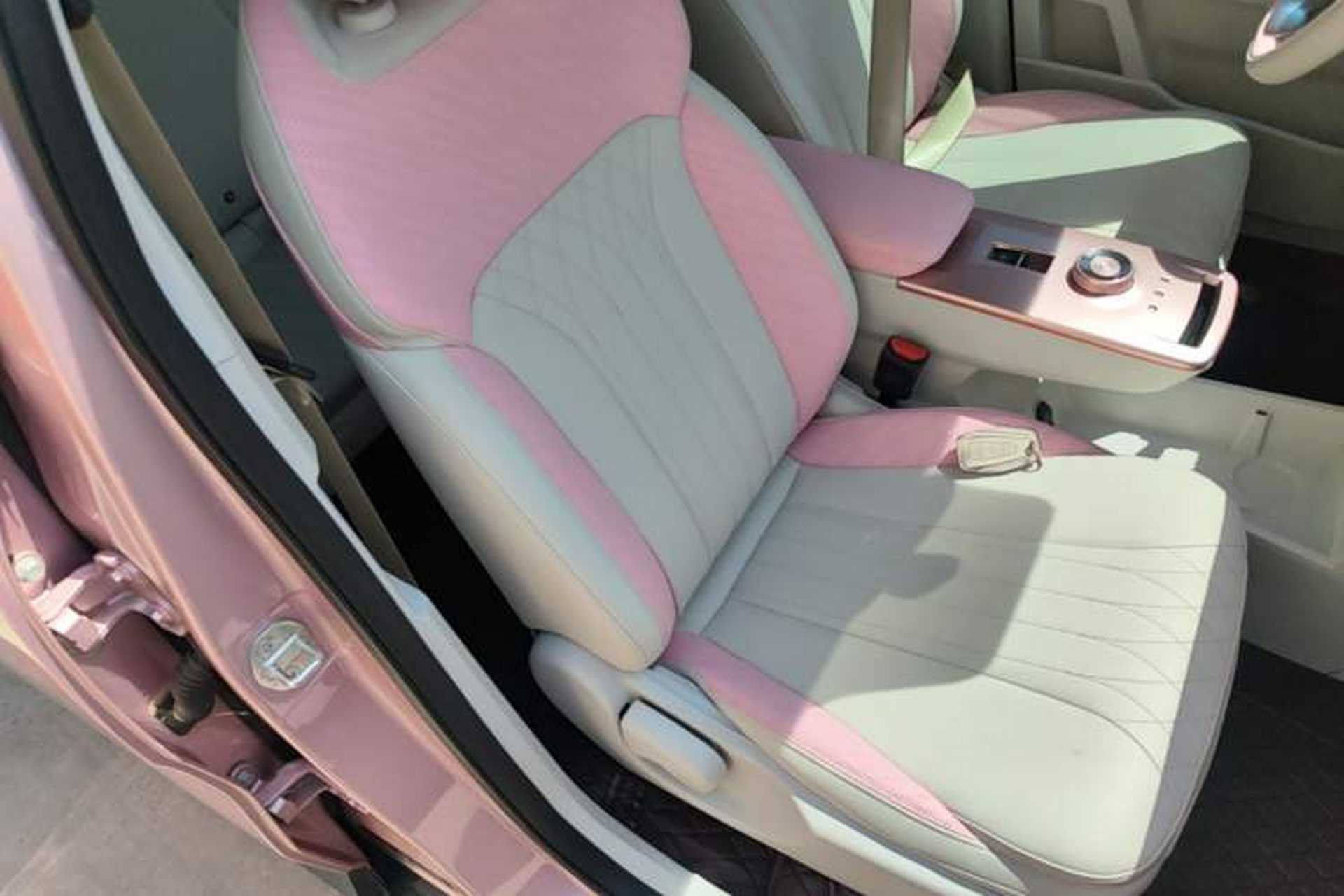 Used Geometry E Firefly 2023 401 km Super-Liked Special Edition 5 Seats Right Front Seat