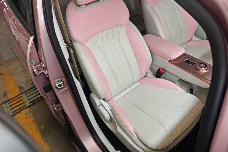 Used Geometry E Firefly 2023 401 km Super-Liked Special Edition 5 Seats Right Front Seat