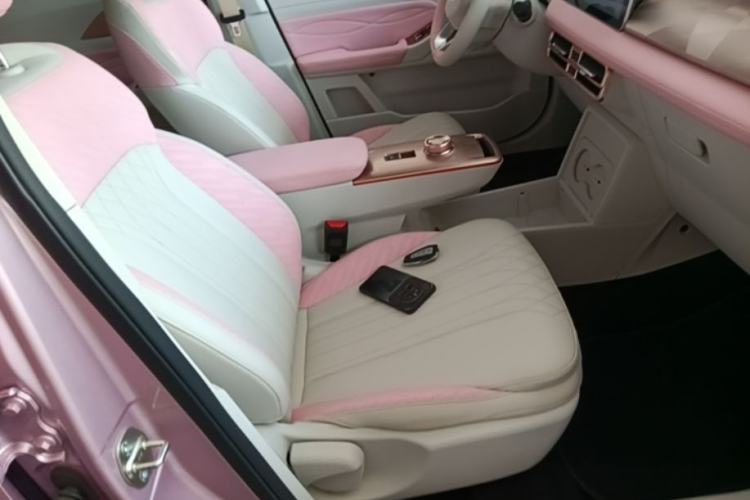 Used Geometry E Firefly 2023 401 km Super-Liked Special Edition 5 Seats Right Front Seat