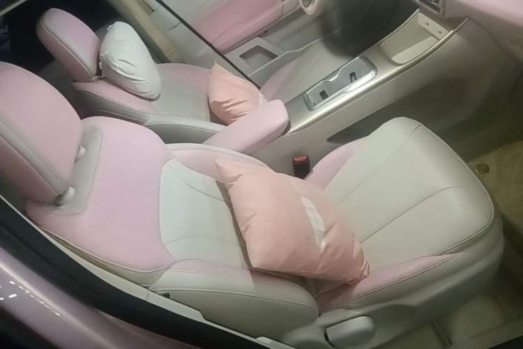 Used Geometry E Firefly 2023 401 km Super-Liked Special Edition 5 Seats Right Front Seat