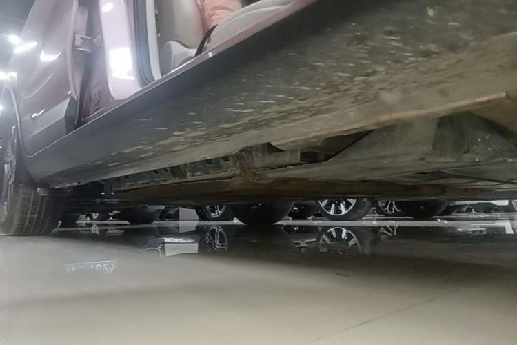 Used Geometry E Firefly 2023 401 km Super-Liked Special Edition 5 Seats Right Side Sill