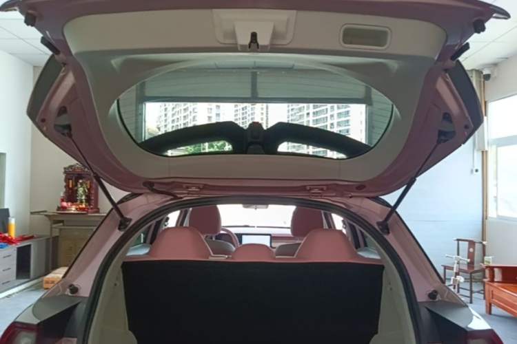 Used Geometry E Firefly 2023 401 km Super-Liked Special Edition 5 Seats Trunk