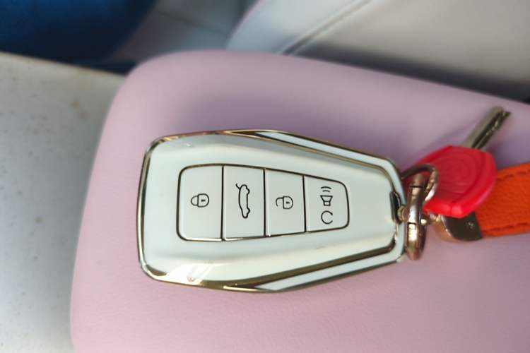 Used Geometry E Firefly 2023 401 km Super-Liked Special Edition 5 Seats Vehicle Key