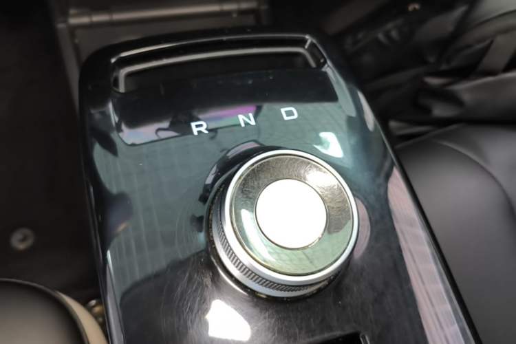 Used Geometry E Firefly 2023 401KM Linglong Tiger 5-Seater Gear Lever