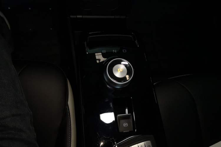 Used Geometry E Firefly 2023 401KM Lightning Tiger 5-Seater Gear Lever