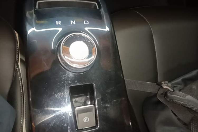 Used Geometry E Firefly 2023 401KM Lightning Tiger 5-Seater Gear Lever