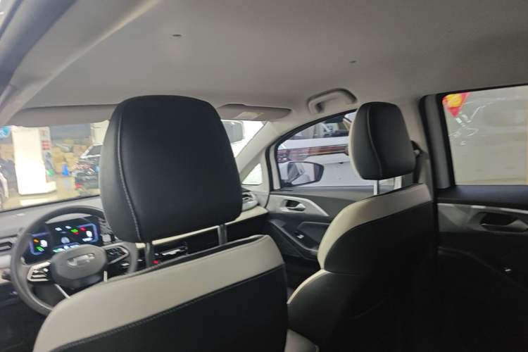 Used Geometry E Firefly 2023 320KM Cute & Handsome Tiger 5 Seats Headliner