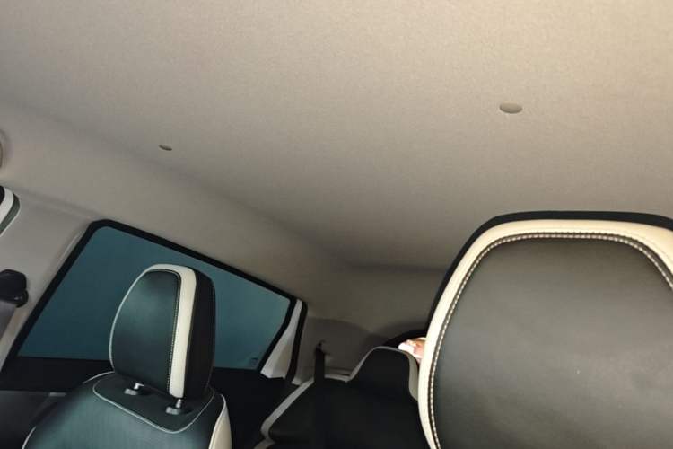 Used Geometry E Firefly 2023 320KM Happy Tiger 5-Seater Headliner