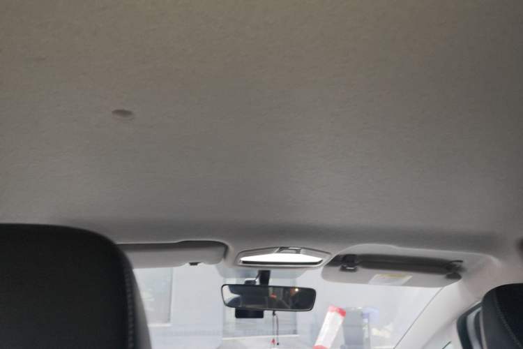 Used Geometry E Firefly 2023 320KM Cute & Handsome Tiger 5 Seats Headliner