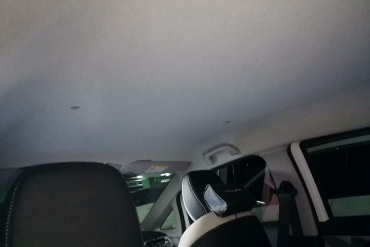 Used Geometry E Firefly 2023 320KM Cute & Handsome Tiger 5 Seats Headliner