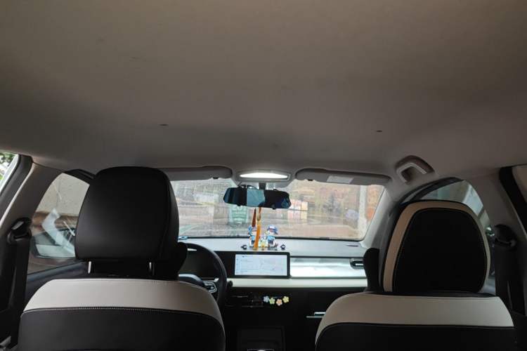 Used Geometry E Firefly 2023 320KM Cute & Handsome Tiger 5 Seats Headliner