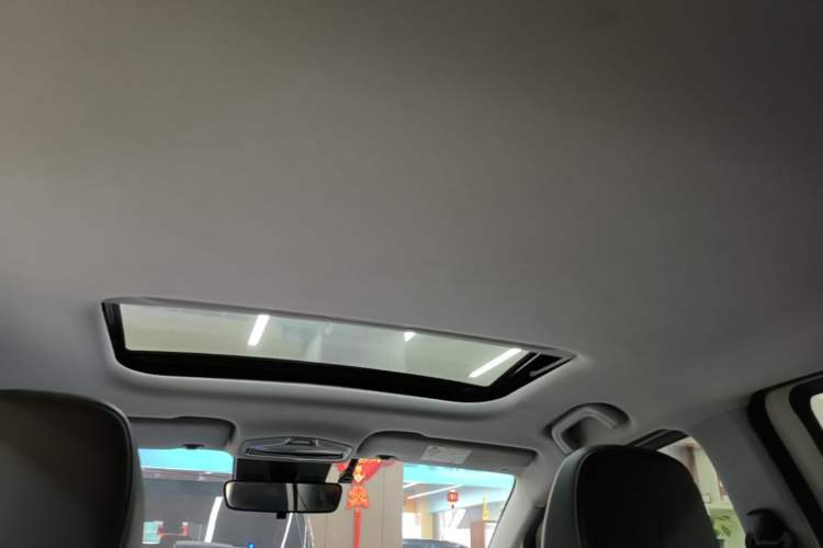 Used Geometry E Firefly 2023 401KM Lightning Tiger 5-Seater Headliner