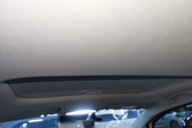 Used Geometry E Firefly 2023 401KM Lightning Tiger 5-Seater Headliner