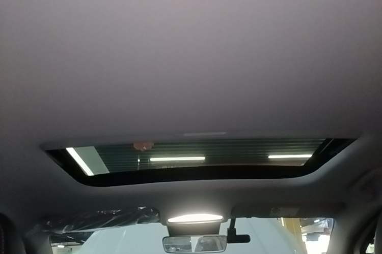 Used Geometry E Firefly 2023 401KM Lightning Tiger 5-Seater Headliner