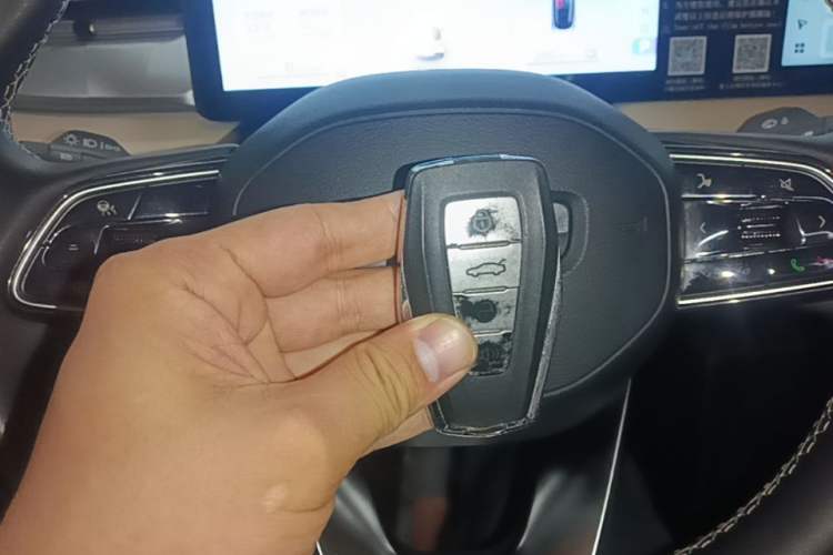 Used Geometry E Firefly 2023 401KM Lightning Tiger 5-Seater Interior 1