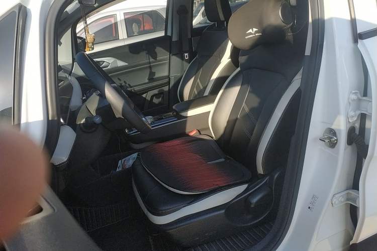 Used Geometry E Firefly 2023 401KM Lightning Tiger 5-Seater Left Front Seat