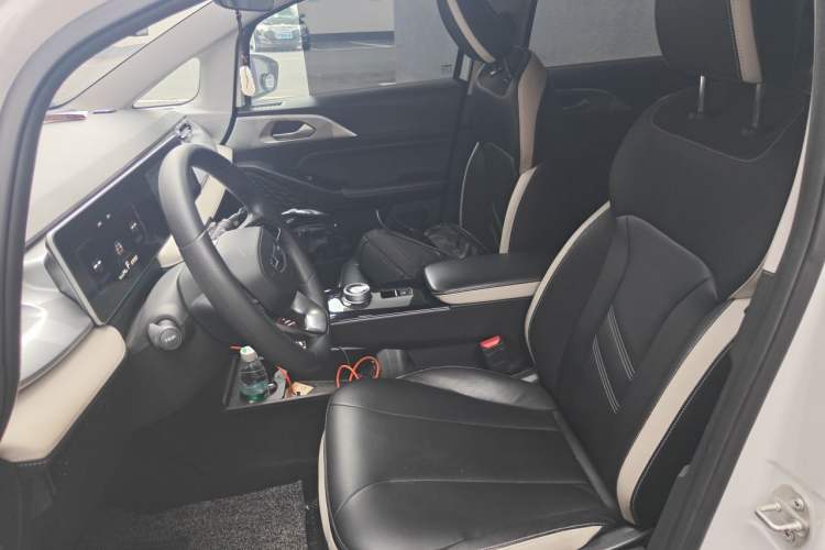 Used Geometry E Firefly 2023 320KM Cute & Handsome Tiger 5 Seats Left Front Seat