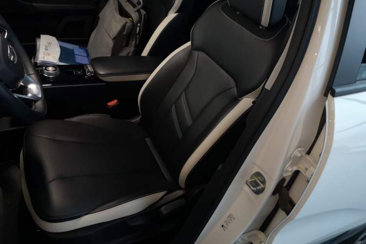 Used Geometry E Firefly 2023 401KM Lightning Tiger 5-Seater Left Front Seat
