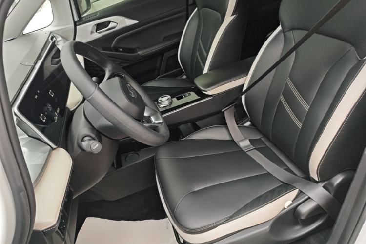 Used Geometry E Firefly 2023 320KM Cute & Handsome Tiger 5 Seats Left Front Seat