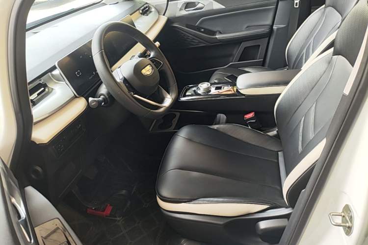 Used Geometry E Firefly 2023 320KM Cute & Handsome Tiger 5 Seats Left Front Seat