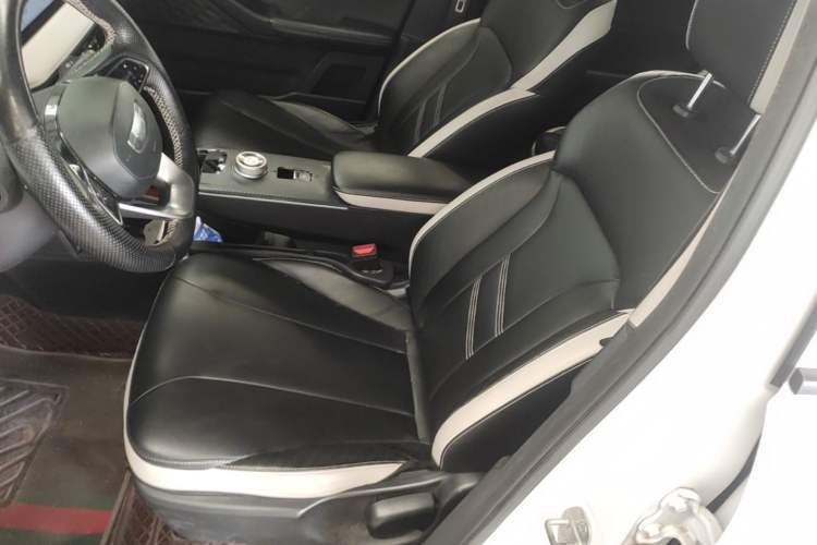 Used Geometry E Firefly 2023 401KM Lightning Tiger 5-Seater Left Front Seat