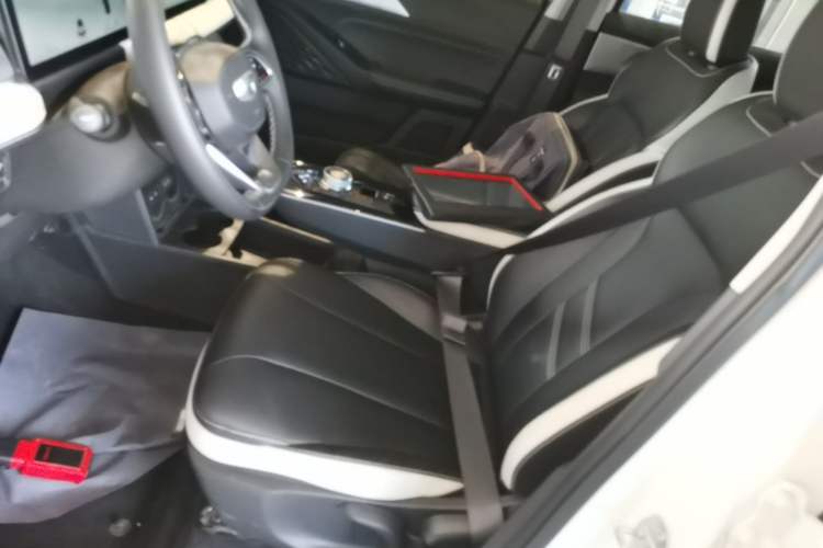 Used Geometry E Firefly 2023 401KM Lightning Tiger 5-Seater Left Front Seat