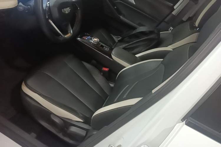 Used Geometry E Firefly 2023 401KM Lightning Tiger 5-Seater Left Front Seat