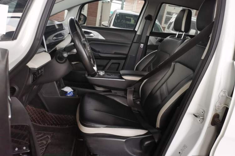 Used Geometry E Firefly 2023 401KM Lightning Tiger 5-Seater Left Front Seat