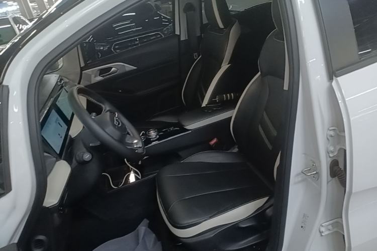 Used Geometry E Firefly 2023 401KM Lightning Tiger 5-Seater Left Front Seat