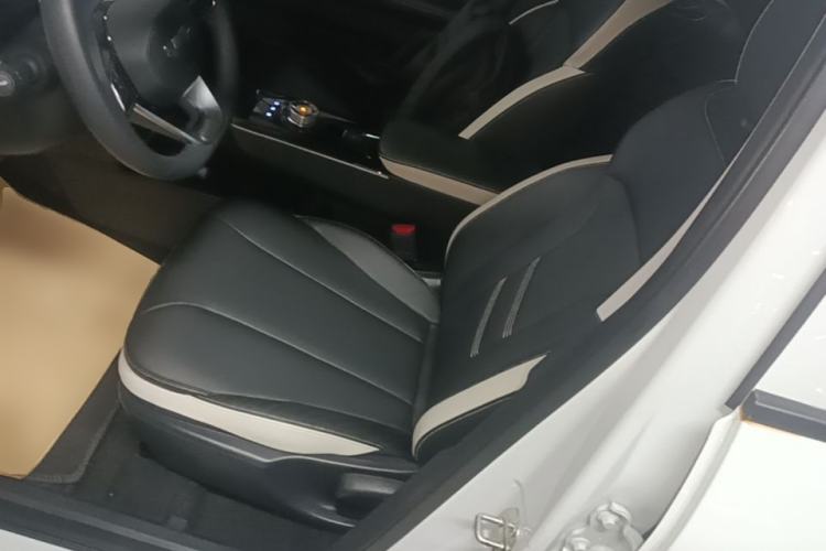 Used Geometry E Firefly 2023 320KM Cute & Handsome Tiger 5 Seats Left Front Seat