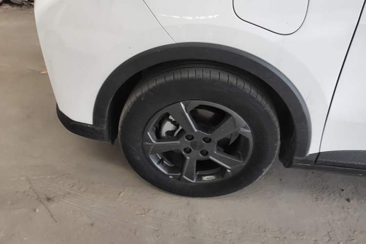 Used Geometry E Firefly 2023 401KM Lightning Tiger 5-Seater Left Front Wheel Hub