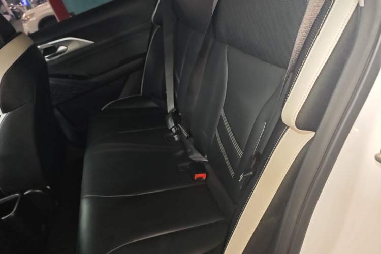 Used Geometry E Firefly 2023 320KM Happy Tiger 5-Seater Left Rear Seat