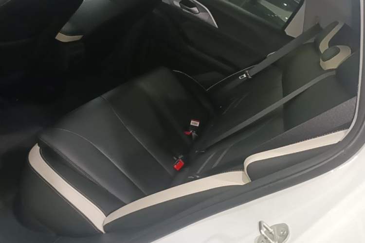 Used Geometry E Firefly 2023 401KM Lightning Tiger 5-Seater Left Rear Seat