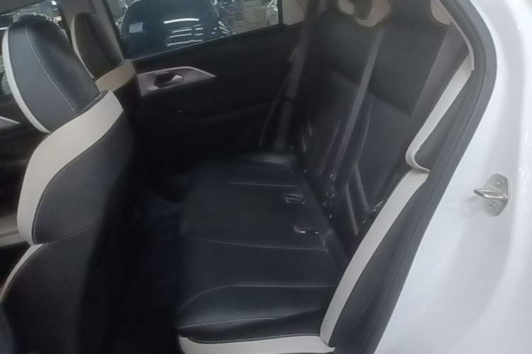 Used Geometry E Firefly 2023 401KM Lightning Tiger 5-Seater Left Rear Seat