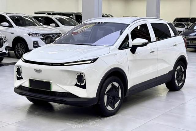 Used Geometry E Firefly 2023 401KM Linglong Tiger 5-Seater