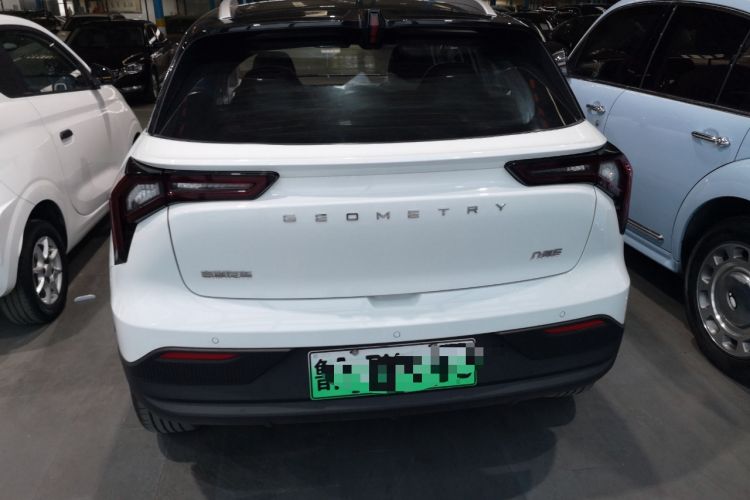 Used Geometry E Firefly 2023 401KM Lightning Tiger 5-Seater Rear