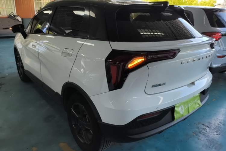 Used Geometry E Firefly 2023 401KM Linglong Tiger 5-Seater Rear Left 45 Deg