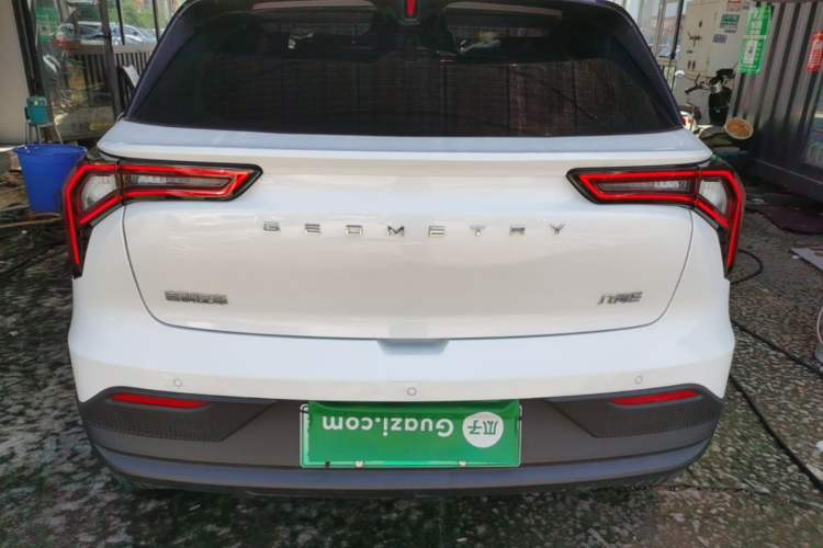 Used Geometry E Firefly 2023 401KM Lightning Tiger 5-Seater Rear