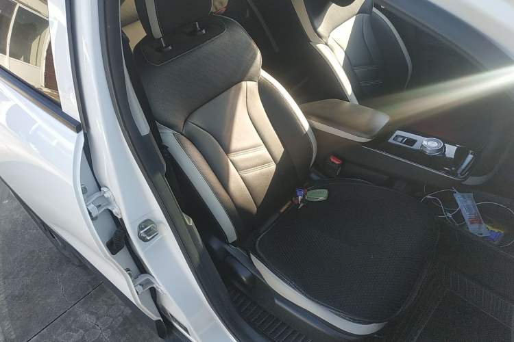 Used Geometry E Firefly 2023 401KM Lightning Tiger 5-Seater Right Front Seat