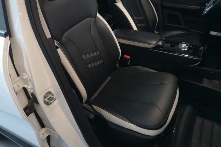 Used Geometry E Firefly 2023 401KM Lightning Tiger 5-Seater Right Front Seat