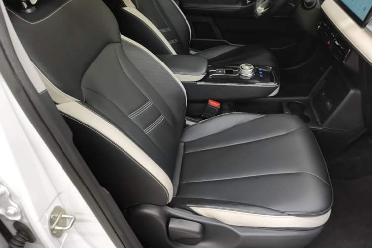Used Geometry E Firefly 2023 401KM Lightning Tiger 5-Seater Right Front Seat