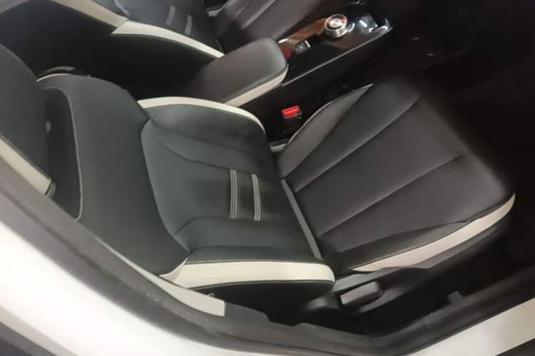 Used Geometry E Firefly 2023 401KM Lightning Tiger 5-Seater Right Front Seat