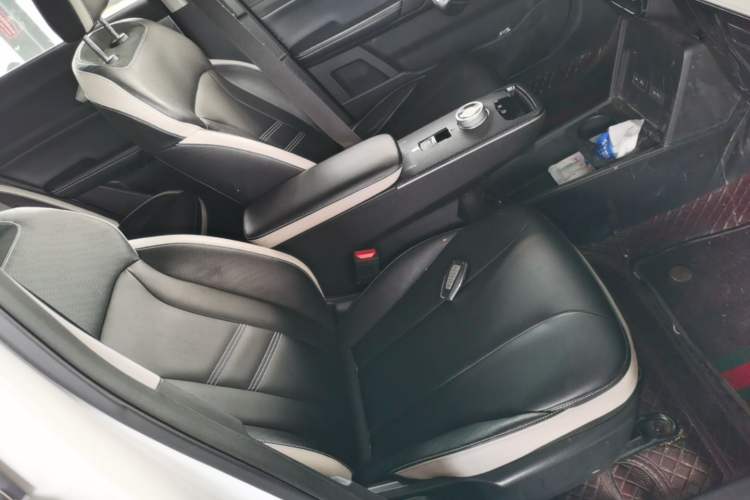 Used Geometry E Firefly 2023 401KM Lightning Tiger 5-Seater Right Front Seat