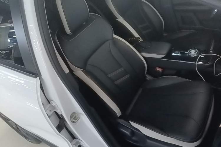 Used Geometry E Firefly 2023 401KM Lightning Tiger 5-Seater Right Front Seat