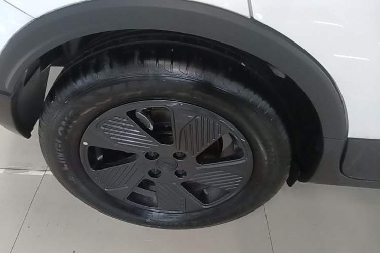Used Geometry E Firefly 2023 401KM Lightning Tiger 5-Seater Right Rear Wheel Hub