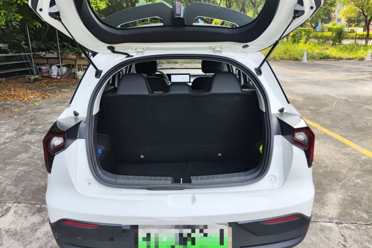 Used Geometry E Firefly 2023 401KM Linglong Tiger 5-Seater Trunk
