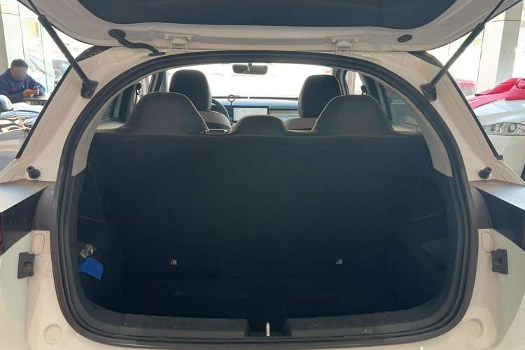 Used Geometry E Firefly 2023 401KM Linglong Tiger 5-Seater Trunk