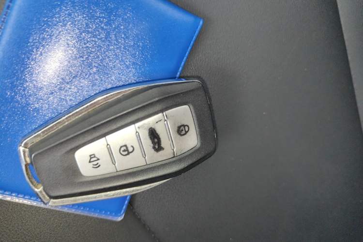 Used Geometry E Firefly 2023 401KM Linglong Tiger 5-Seater Vehicle Key