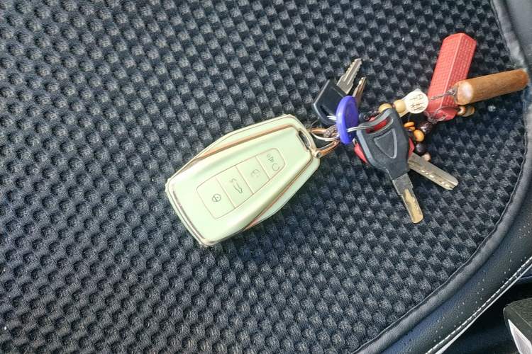 Used Geometry E Firefly 2023 401KM Lightning Tiger 5-Seater Vehicle Key